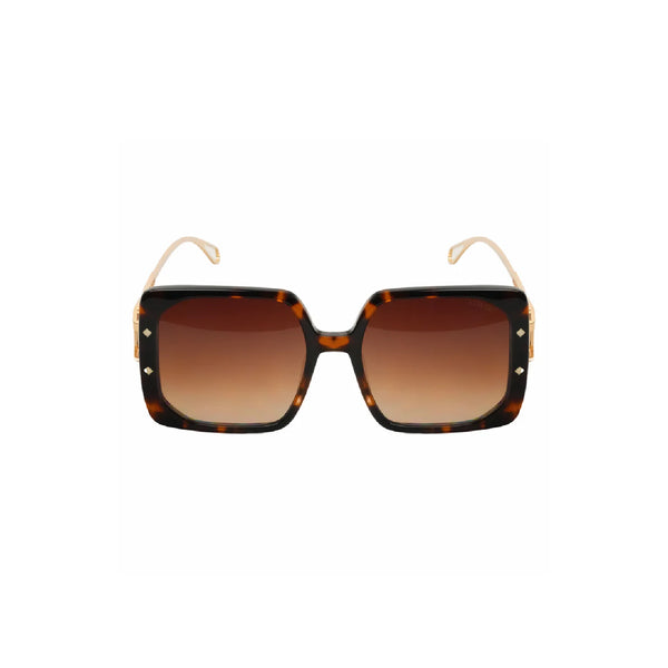 Verutti Sunglass Code AT8604-C2