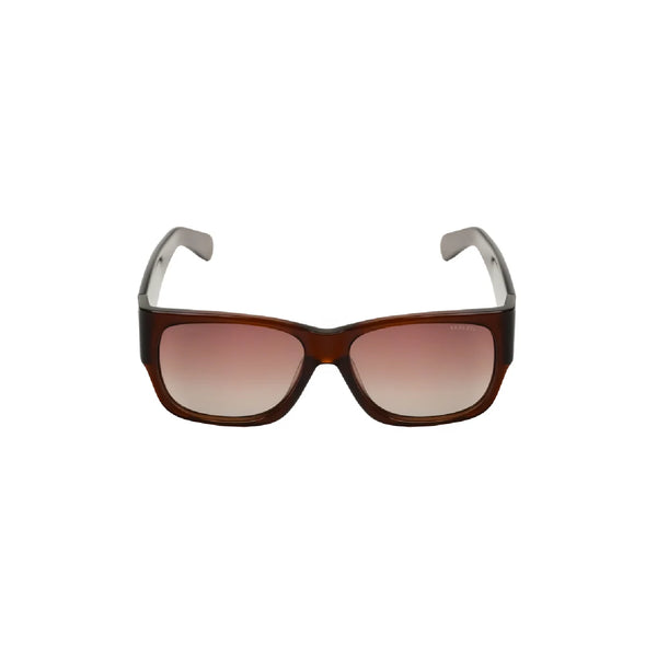Verutti Sunglass Code AT8733-C03