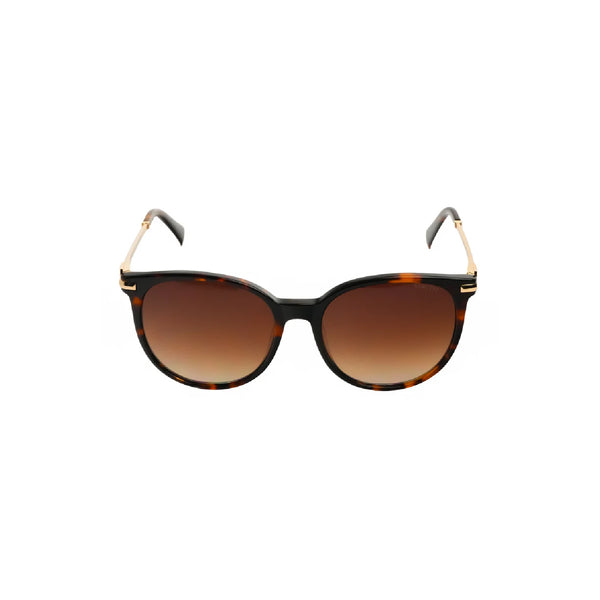 Verutti Sunglass Code AT8884-C2