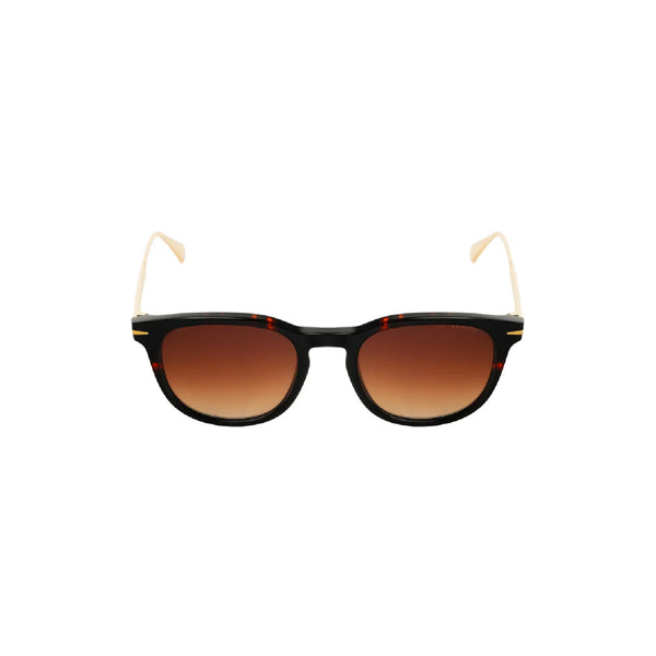 Verutti Sunglass Code AT8888-CO.02